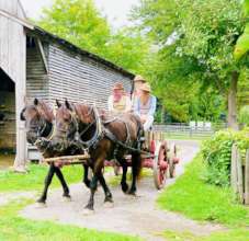 Farm work In Greenfield Village