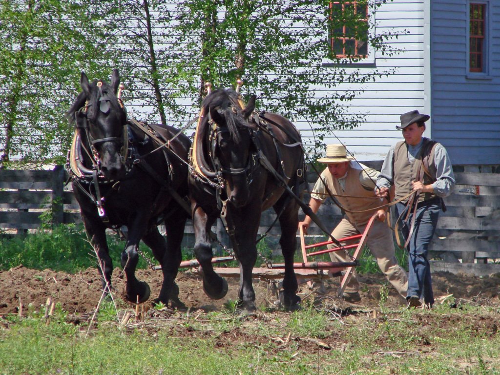 The Henry Ford COVID-19 Response
