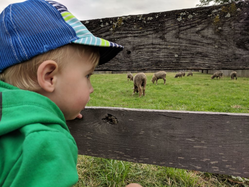 The Henry Ford COVID-19 Response