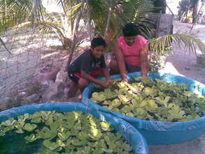 Children showing their aquaponics ponds