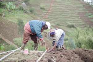 Laying Pipes