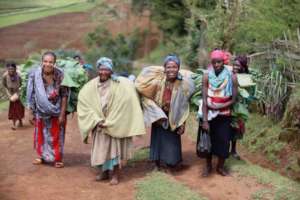 Heading to market