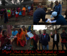 Nuxalbari Tea Estate Workers Receive Flashlights