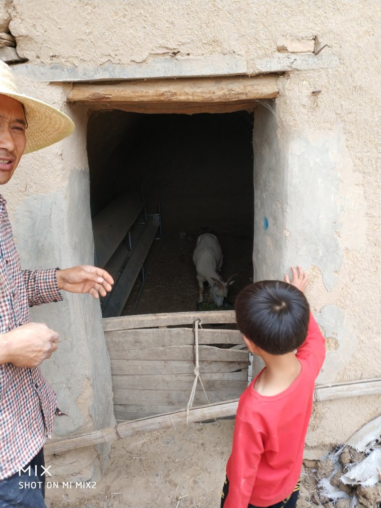 Empower 500 Impoverished Students in Rural China