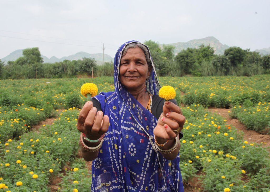 Provide Fertilizer & Seed to 250 Marginal farmer