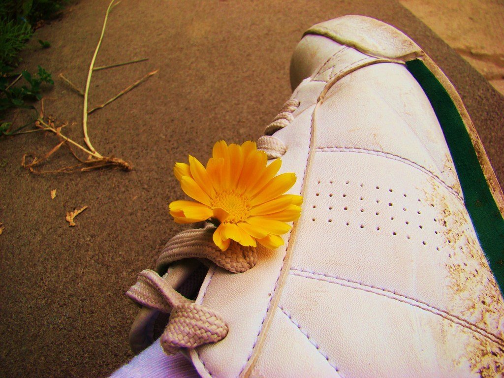 Peace Through Photography