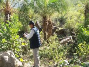 During the initial evaluation of the Melhan reserv