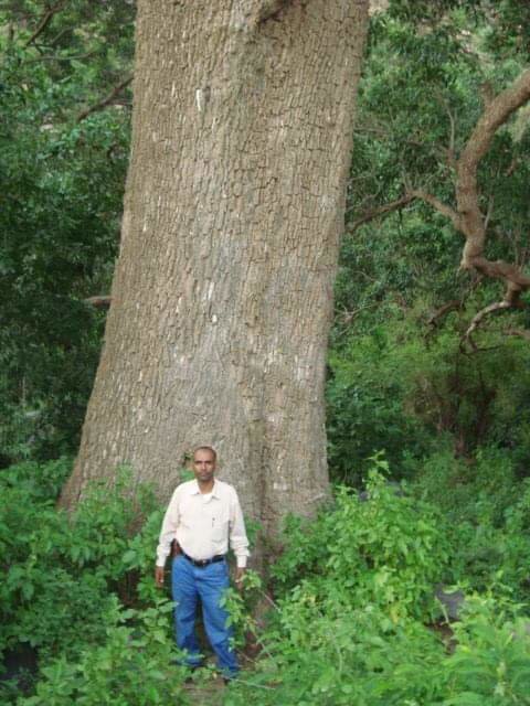 Wildlife and biodiversity conservation Malhan Rese