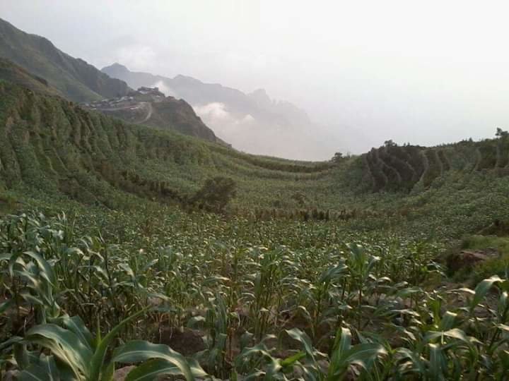 Wildlife and biodiversity conservation Malhan Rese