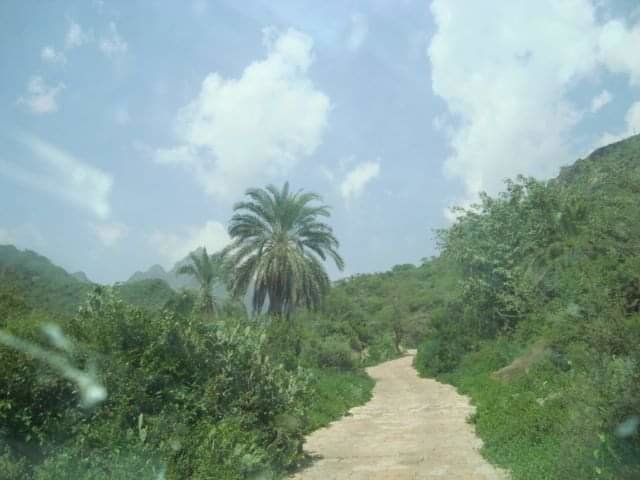 Wildlife and biodiversity conservation Malhan Rese