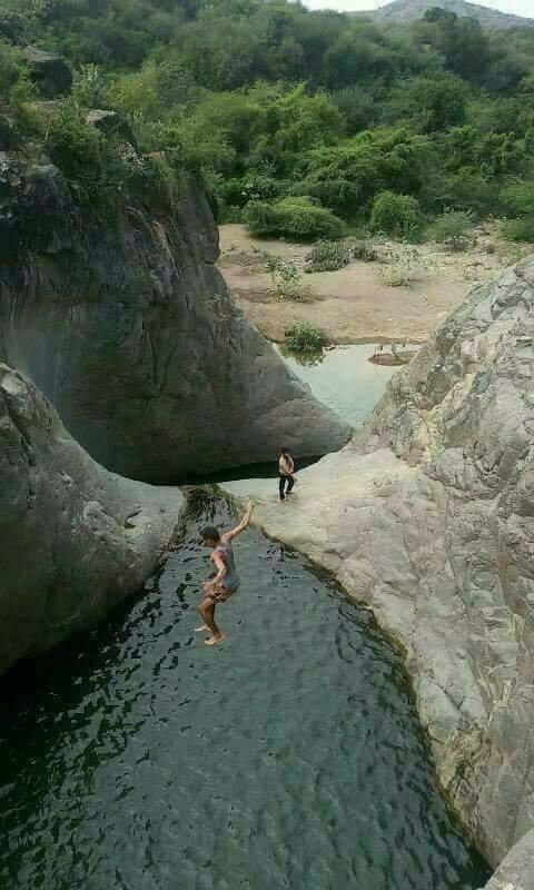 Wildlife and biodiversity conservation Malhan Rese