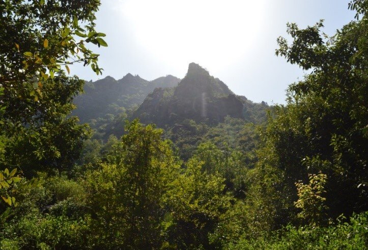 Wildlife and biodiversity conservation Malhan Rese