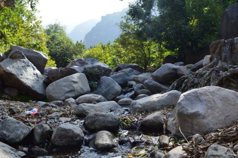 Wildlife and biodiversity conservation Malhan Rese