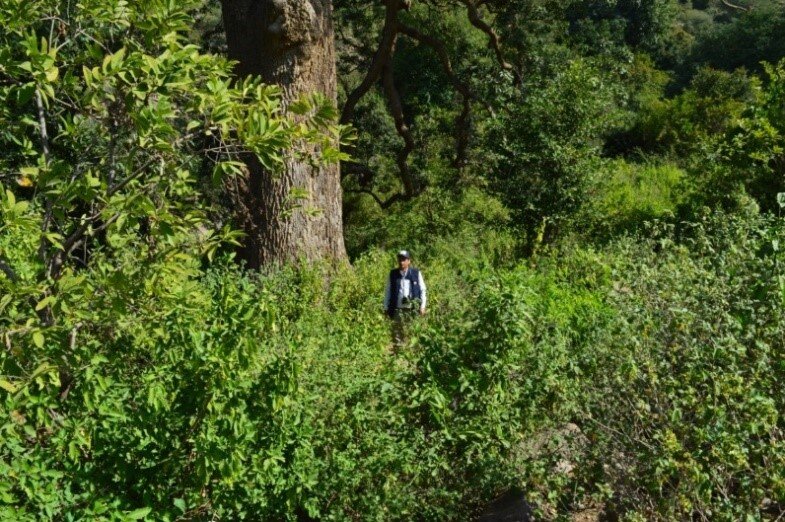 Wildlife and biodiversity conservation Malhan Rese