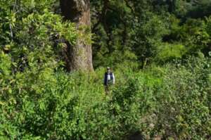 Preserving wildlife and biodiversity in Malhan Nat