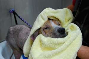 Towel rubs are better