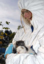 OHS rescue team member with rescued kittens