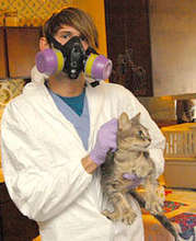 OHS employee Daniel with rescued cat