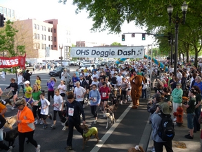 2010 Doggie Dash