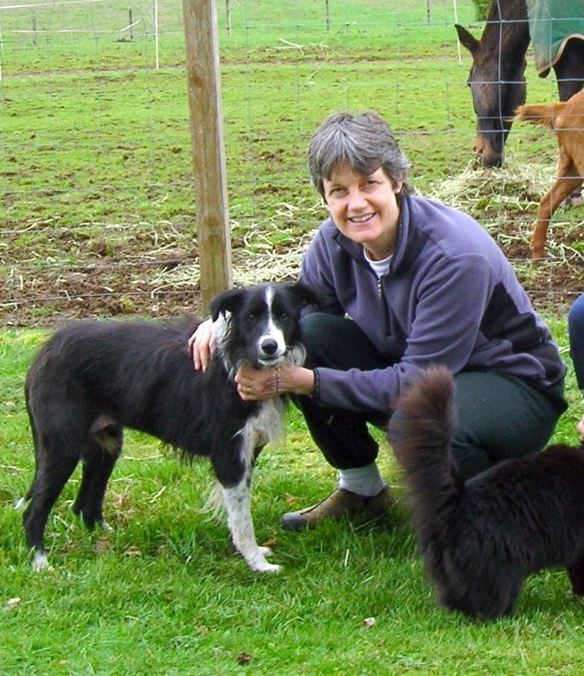 Oregon Humane Society's End Petlessness Campaign