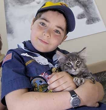 Oregon Humane Society's End Petlessness Campaign