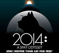 Spay Odyssey