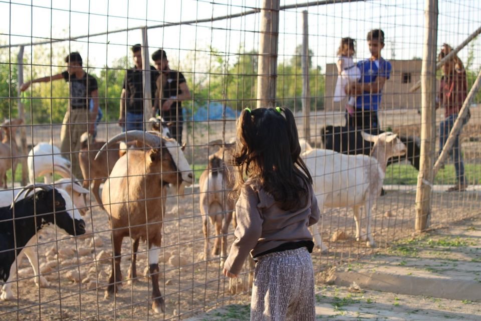 Support Families and Animals at the Healing Garden