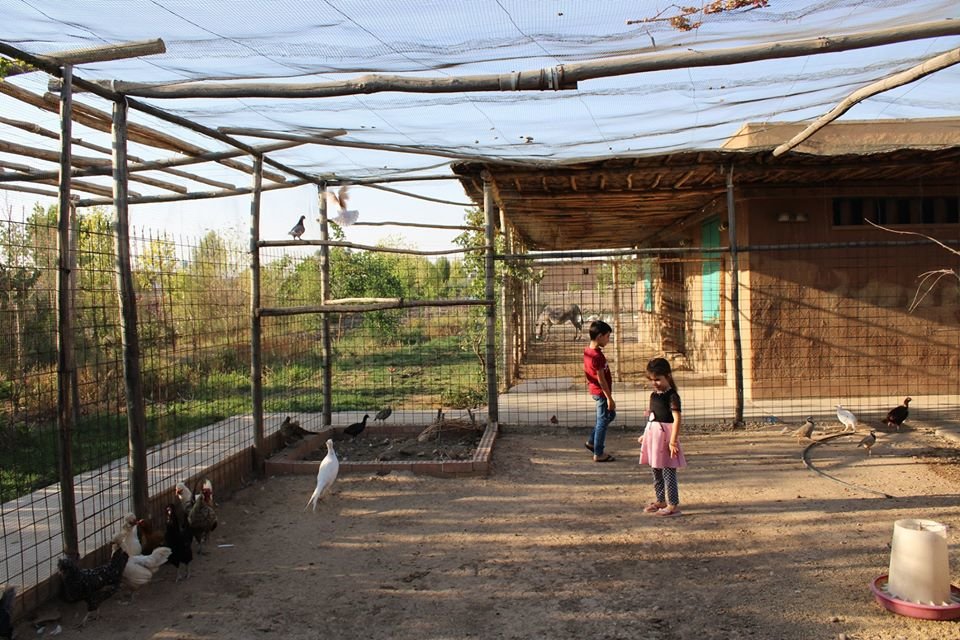 Support Families and Animals at the Healing Garden