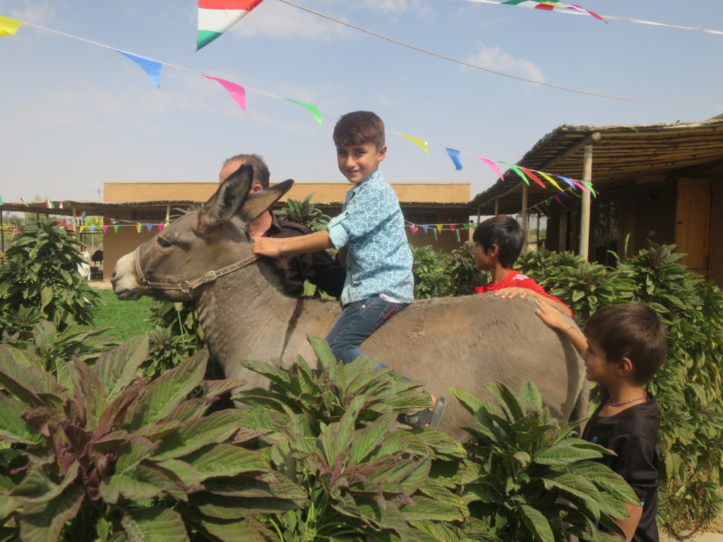 Support Families and Animals at the Healing Garden