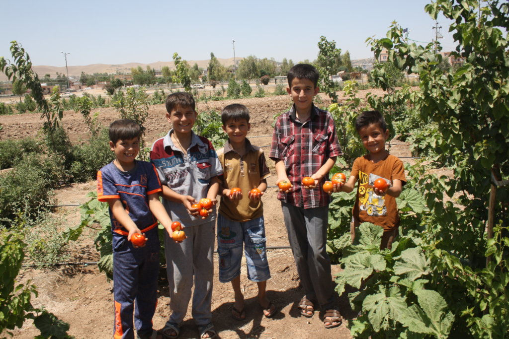 Support Families and Animals at the Healing Garden