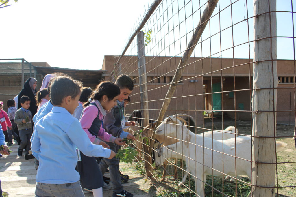 Support Families and Animals at the Healing Garden