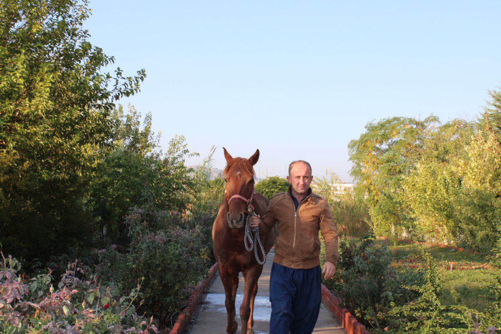 Support Families and Animals at the Healing Garden