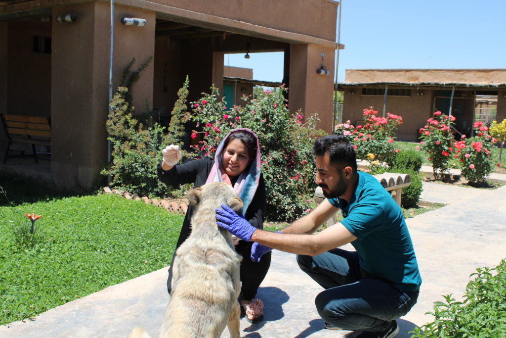 Support Families and Animals at the Healing Garden