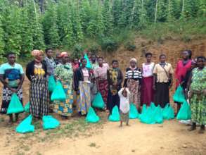 The food package distribution