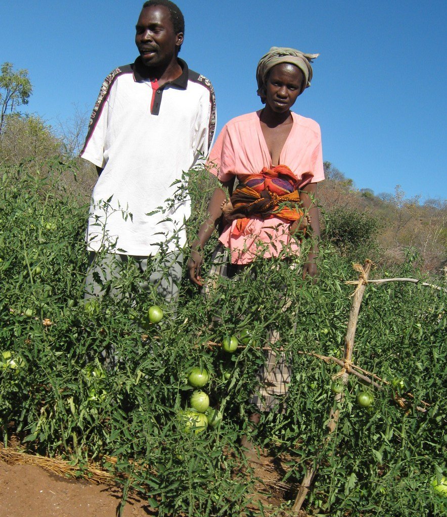 Improving Livelihoods and Food Security of Youth