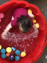 Splash, splash, splash