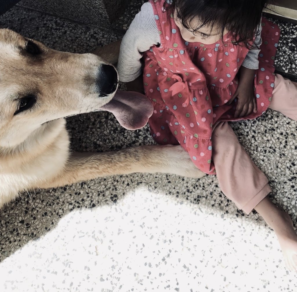 Give Trauma-Informed Care to Orphans in Macedonia