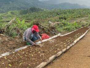 Continue with assistance