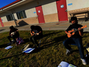 Miss D's Upper Elementary Uke Club