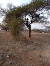 Watching the work in Kiruru subvillage
