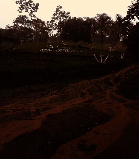 Help the Rehab Center Meet Regulatory Requirements