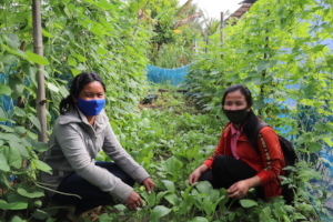 Sophan and her garden