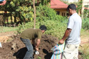 Fertilizer