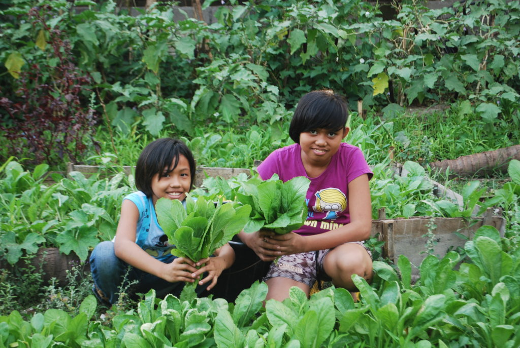 Covid 19: Home-Gardening for Food Security