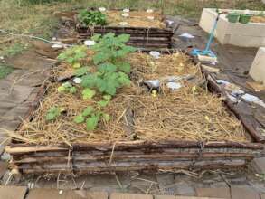 Results are clearly for biochar and vermicast