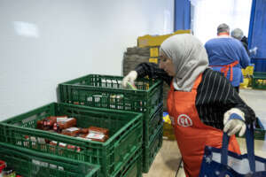 (c) Reiner Pfisterer