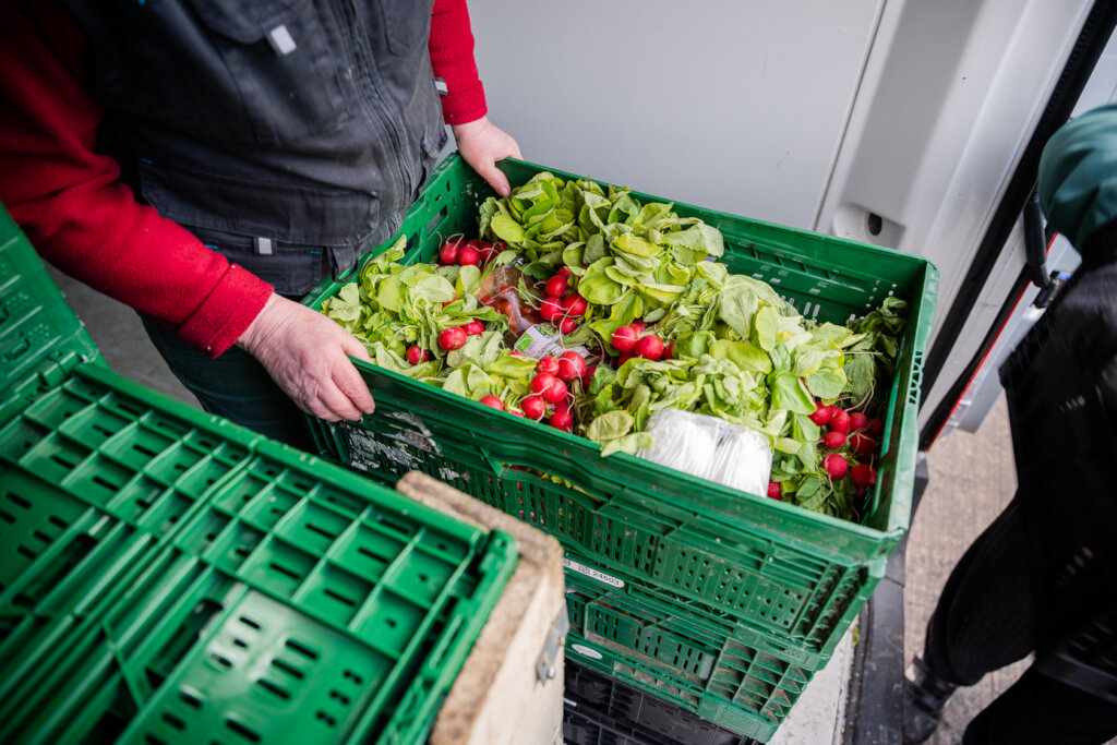 Support Food Banks in Germany