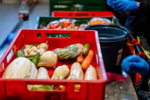 (c) Tafel Wetzlar / Tafel Deutschland