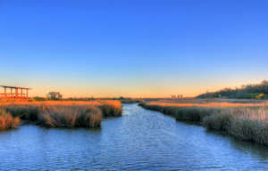 Galveston Bay