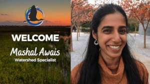 Welcome Mashal!